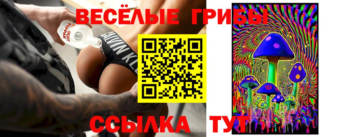 Галлюциногенные грибы Psilocybine cubensis  закладки  Барнаул  Вход с VPN 